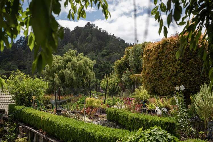 228 The Booms Avenue Thames_31