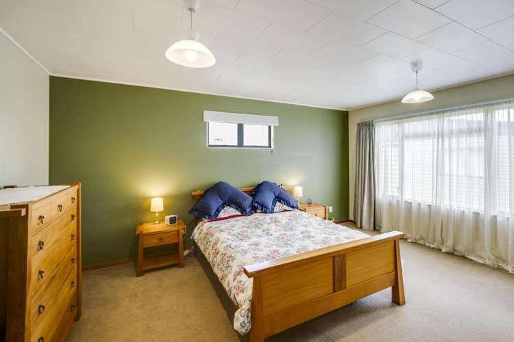 15 Southwark Avenue Tamatea_11