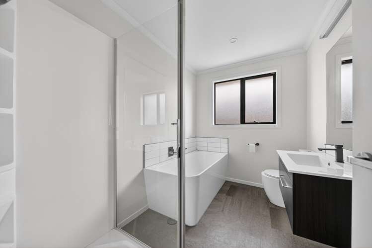 6 Nathan Lane Masterton_6