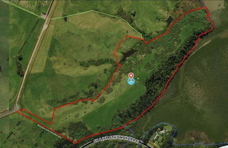 152 Turner Road Whakamarama_13