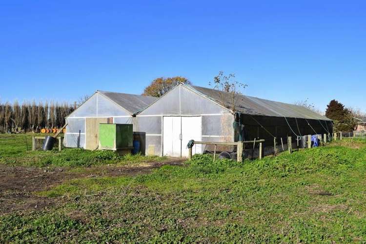 151 Burgesses Road Clarkville_11