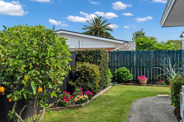 16 Simons Street Kensington_10