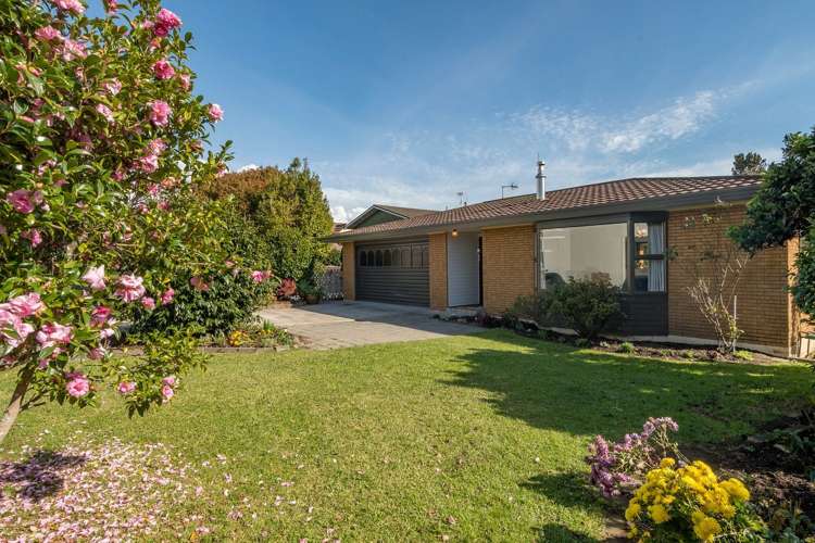 249 Levers Road Matua_0