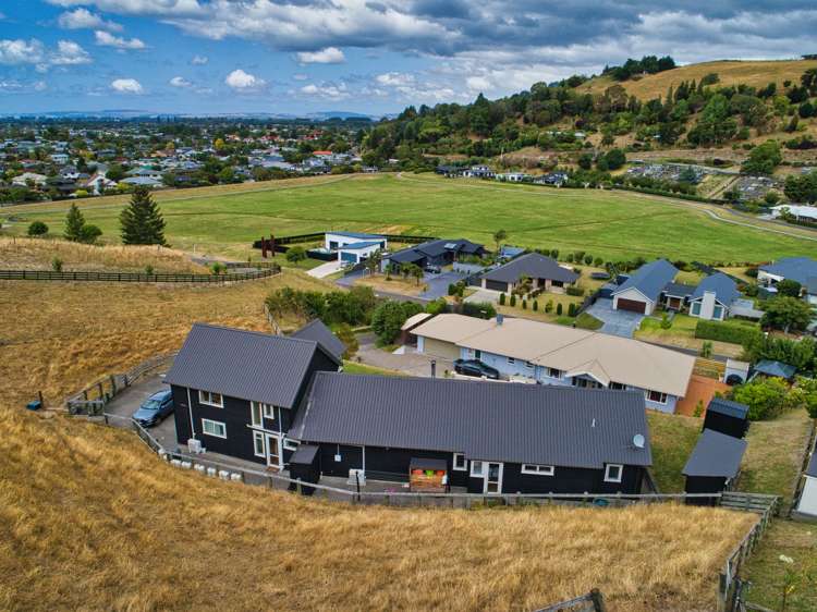 81 Kent Terrace Taradale_20