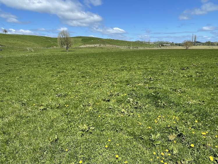 27 Mcrae Road Otorohanga_18