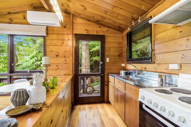 230A Atkinson Road Titirangi_1