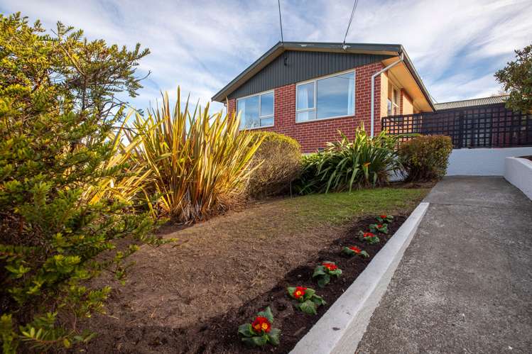 37 Kauri Street Highfield_41