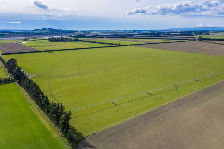 3716 Old West Coast Road Sheffield_2