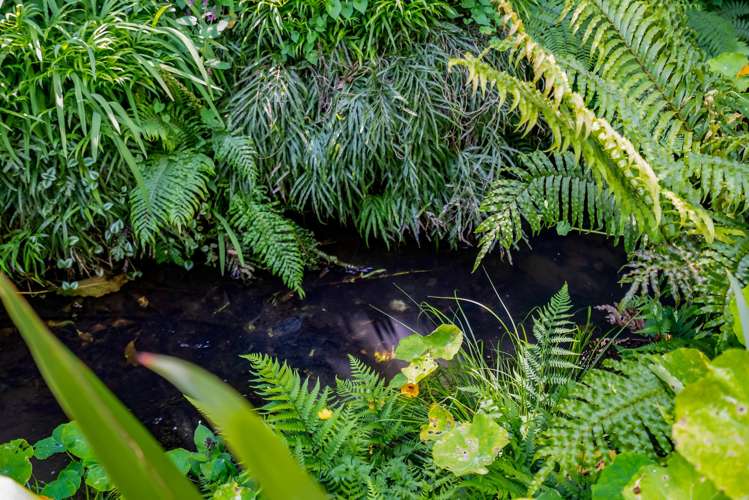 36e Gaine Street New Plymouth_5