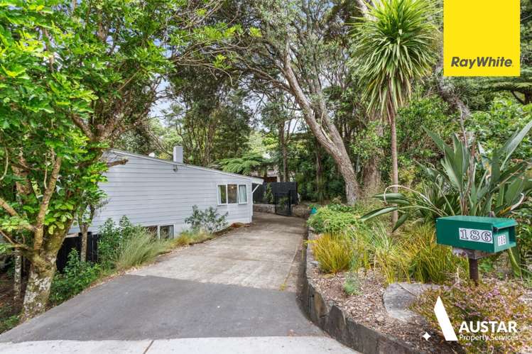186 Atkinson Road Titirangi_22