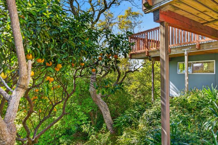 42 Milton Road Bluff Hill_24