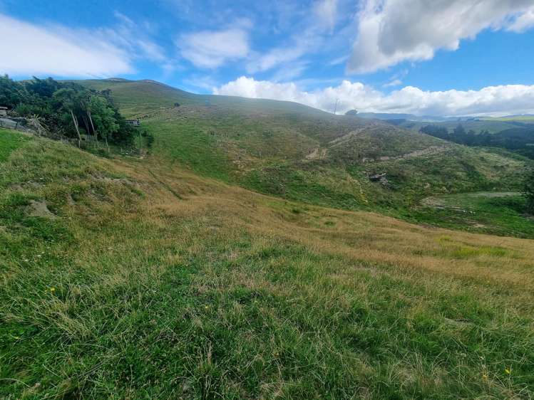 4820 Pahiatua Pongaroa Road Pongaroa_38