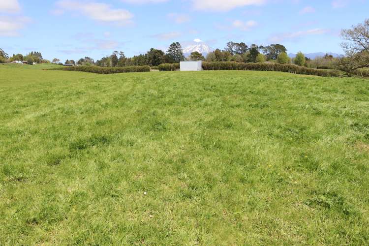 121 Tarata Road Inglewood_6