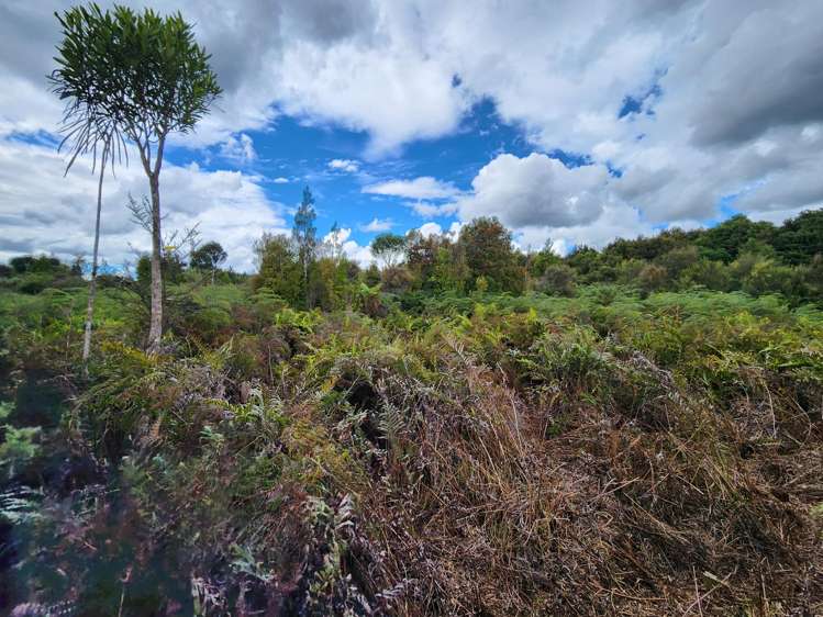 240 Maori Creek Road Marsden_13