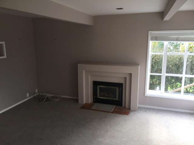 10b Ayr Street Parnell_4