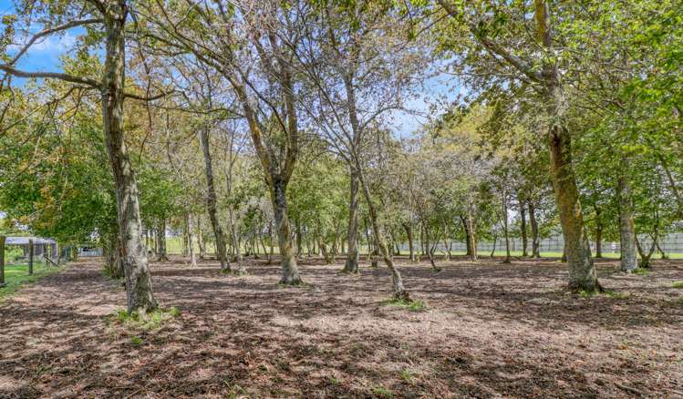 8 Ingram Road Hexton_6