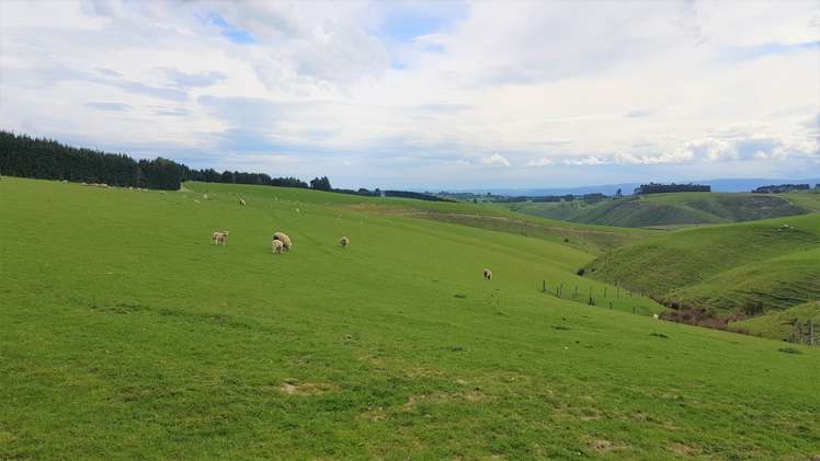 161 Roulston Road Balclutha_7