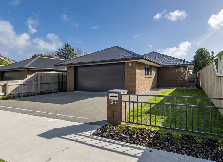 37 Sussex Street Levin_16