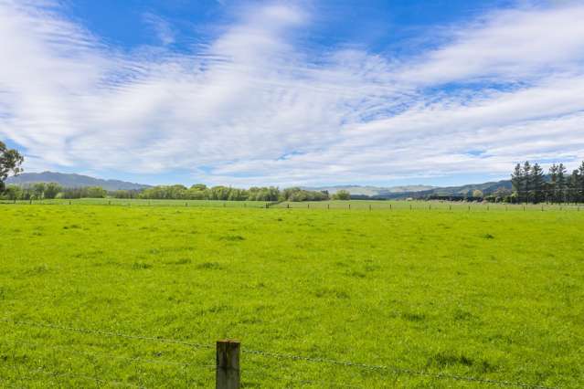 1166 Scargill Valley Road Scargill_4