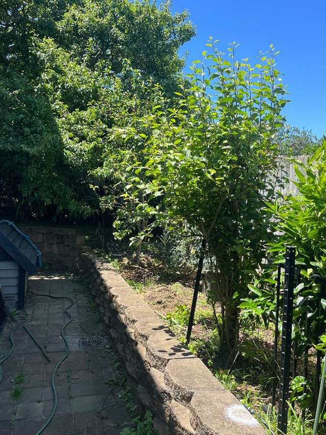 105A Gills Road Bucklands Beach_2