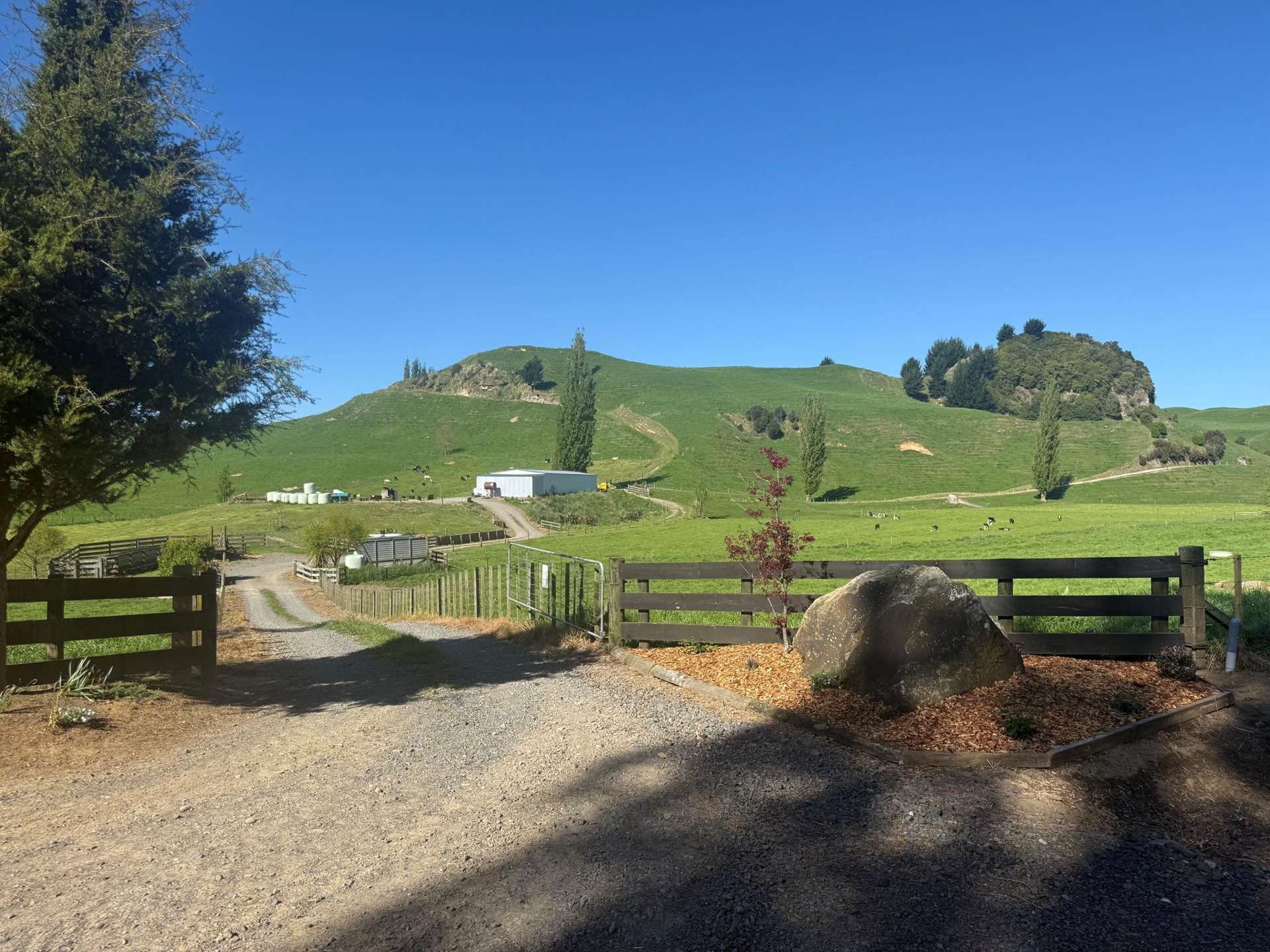 141 Puketirau Road Tirau_0