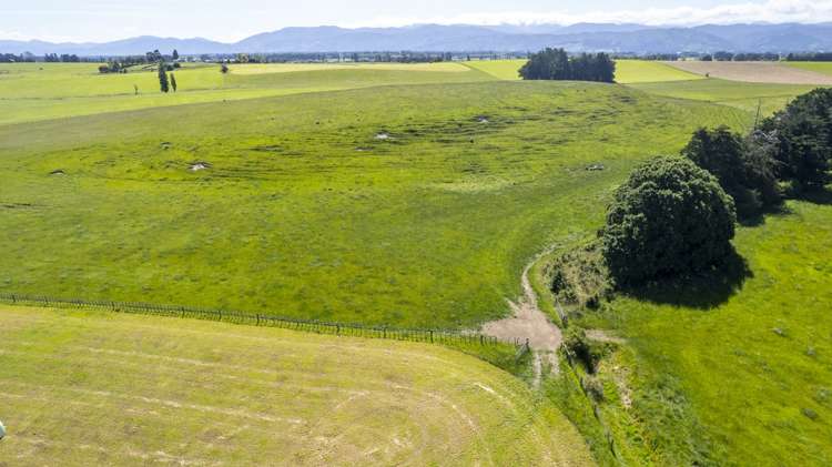 43 Taumata Island Road Carterton_11