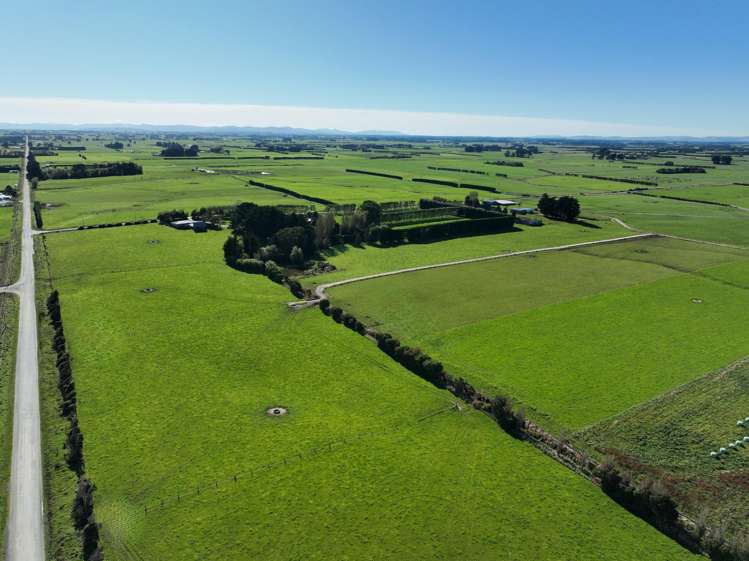 12 Shand Road, Farm 1 Rimu_17