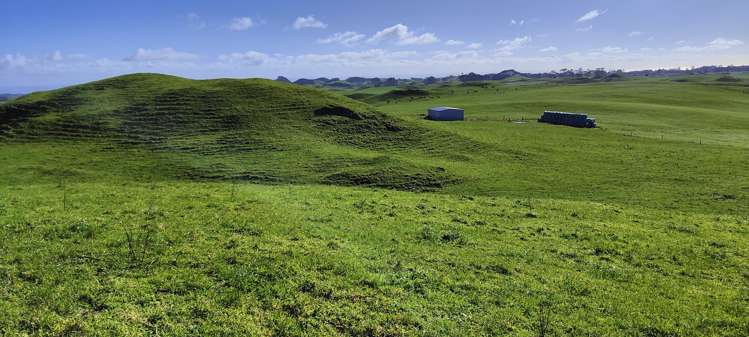 Parihaka Road Pungarehu_5