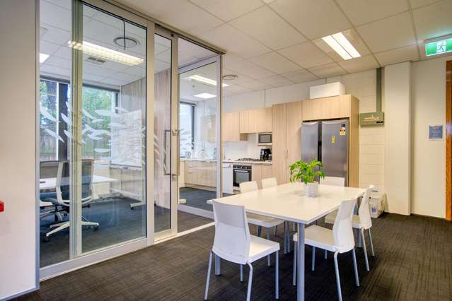 6 Mitchelson Street Ellerslie_3