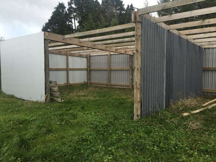 457 Kent Road Korito_15