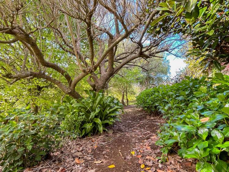 810 Upper Queen Street Pukekohe_30