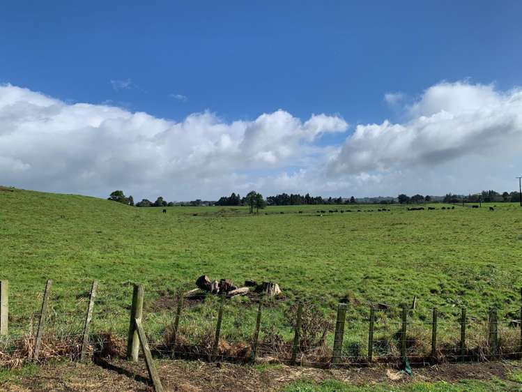 232 Suffolk Road Inglewood_19