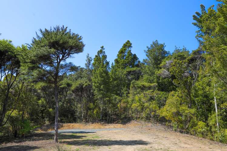Lot 5 21 Waikawau Beach Road Little Bay_13