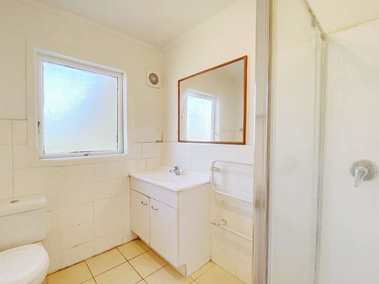 304 Blockhouse Bay Road Avondale_8