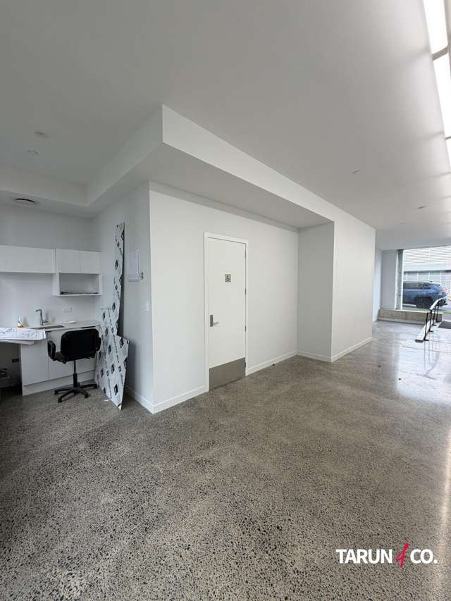 17A Crummer Road Grey Lynn_3