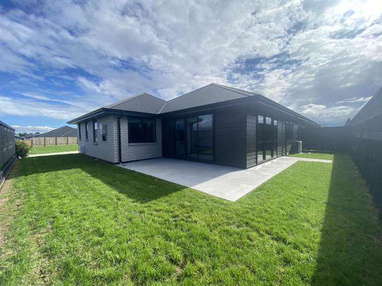 7 Crawford Lane Morrinsville_8