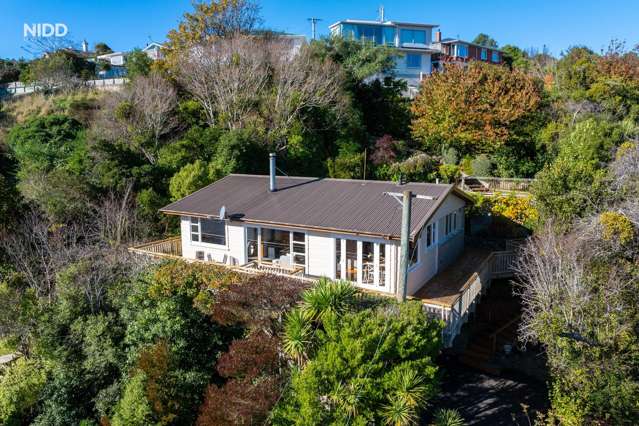 38a Somerville Street Andersons Bay_1