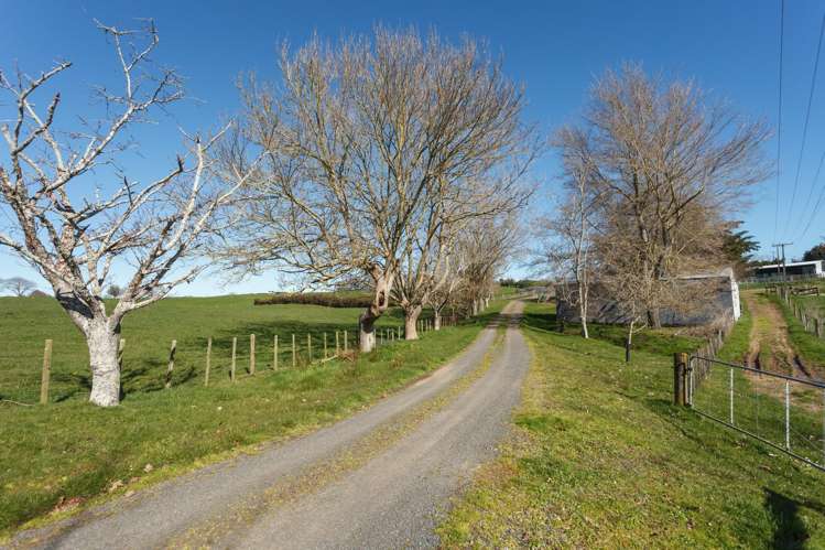 97 Herbert Road Morrinsville_38
