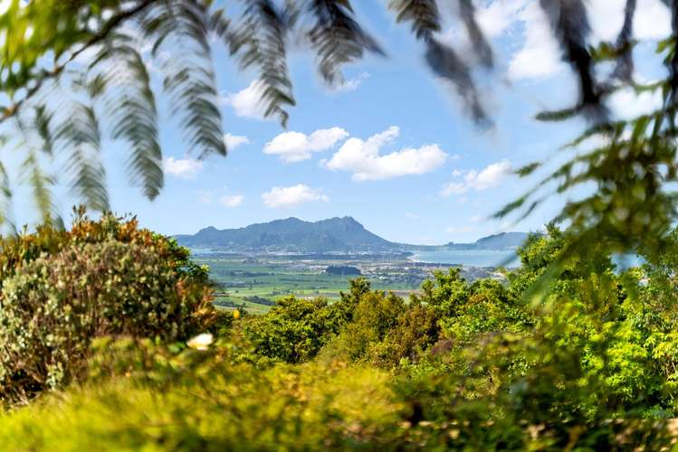 507 Prescott Road Ruakaka_14