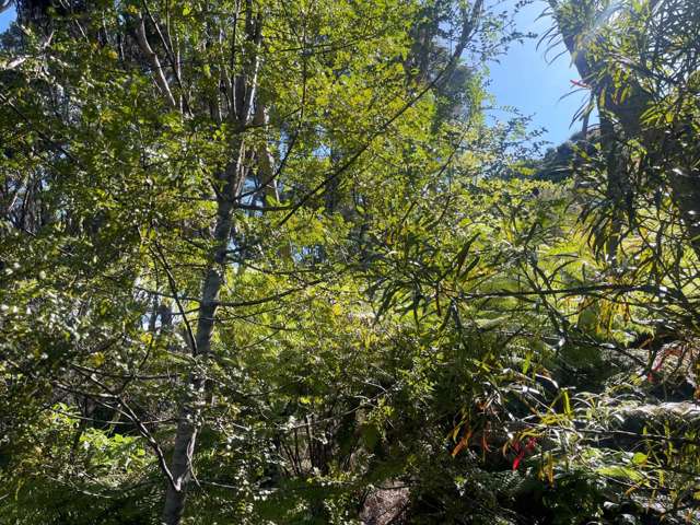 665 & 667 Whangaparapara Road Great Barrier Island_4