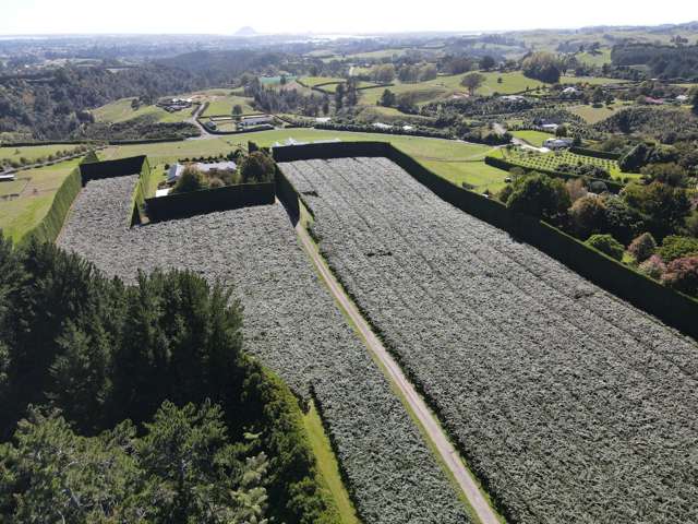 85a Castles Road Oropi_2