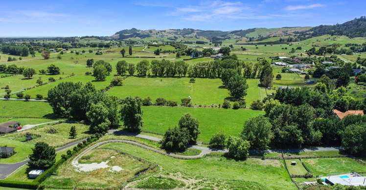 3/103 Maungakawa Road Cambridge_4