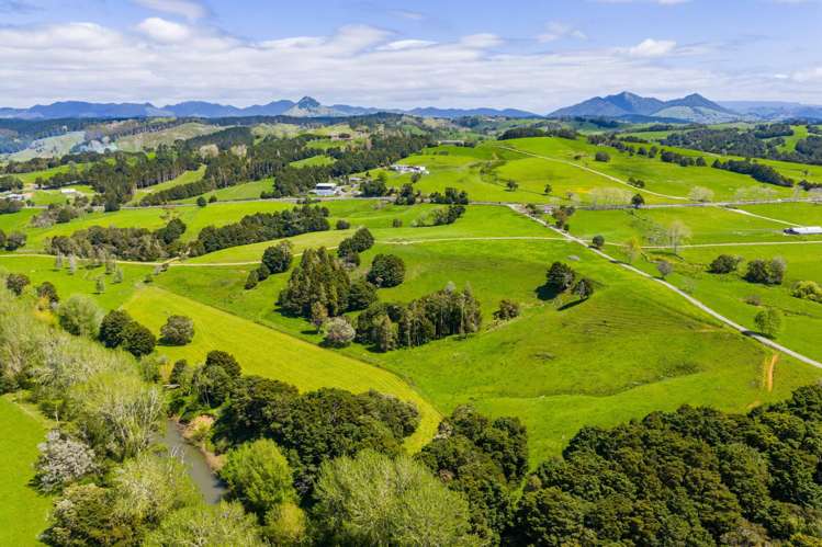 Mangakahia Road Titoki_28