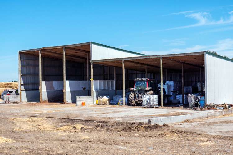 102 Anama Station Road Mayfield_17