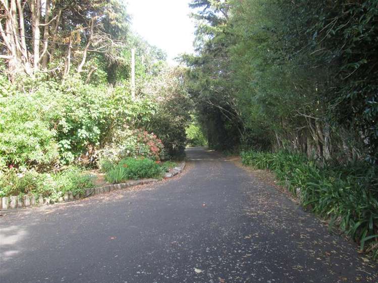 161b Smart Road Hillsborough_22