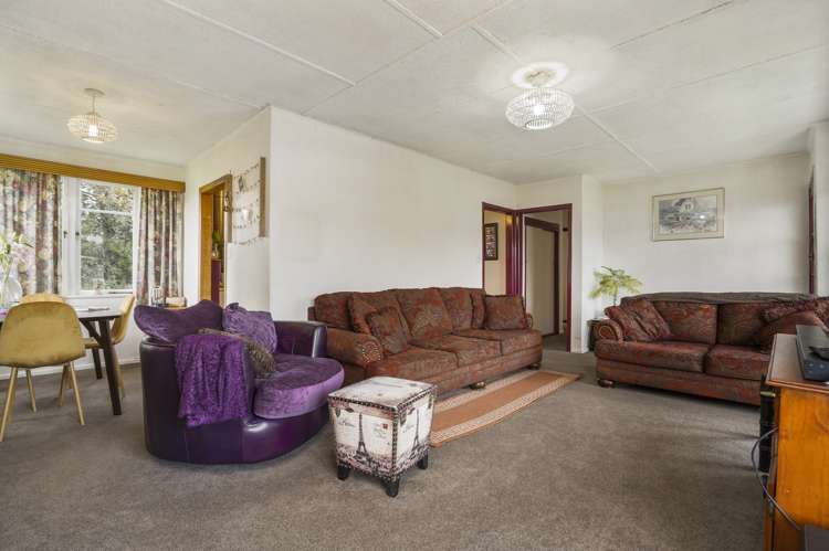 11 Richardson Road Bader_1