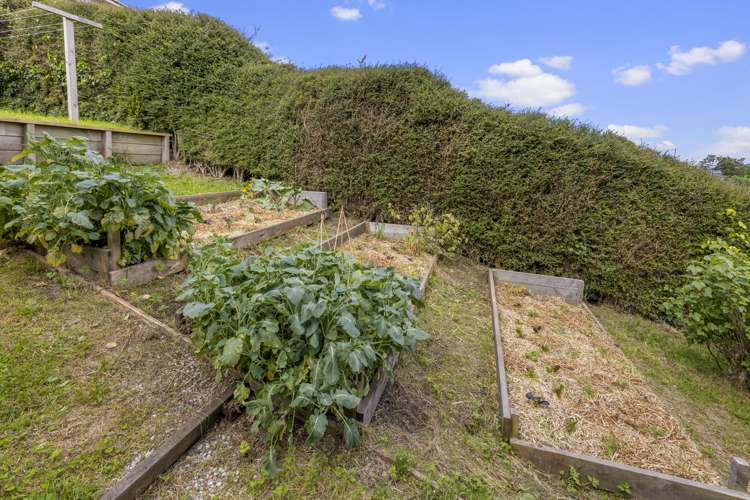 6 Haig Street Mornington_15