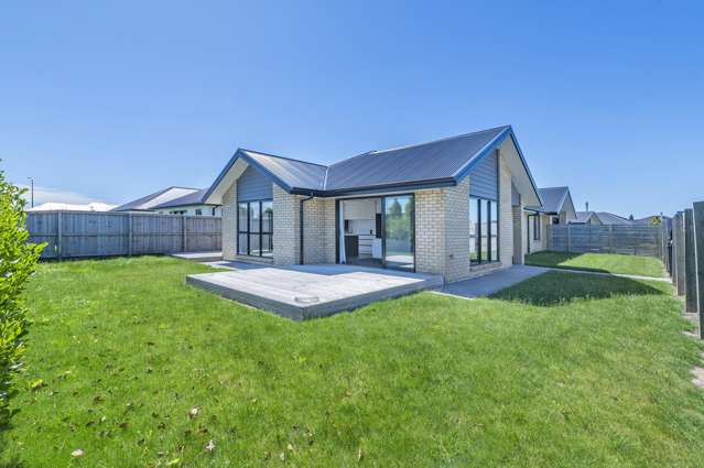 Time to Swoop in Falcons Landing