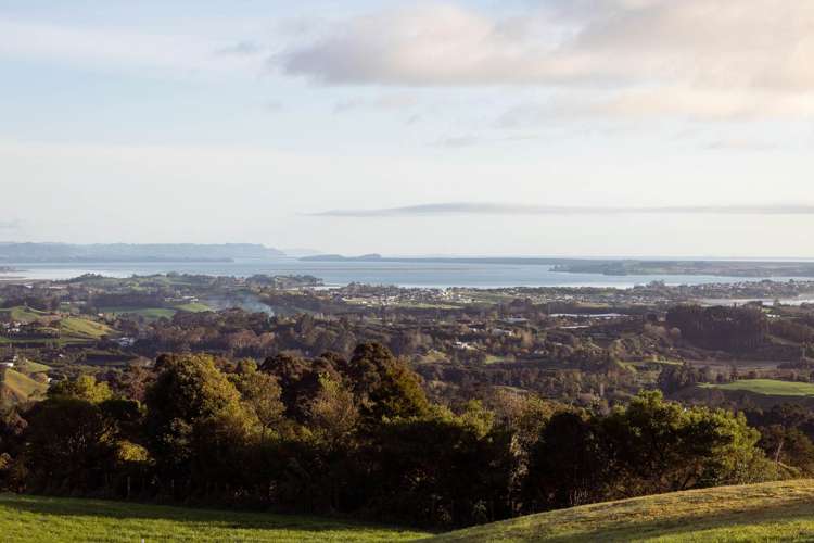 8 Pheasant Lane Te Puna_11