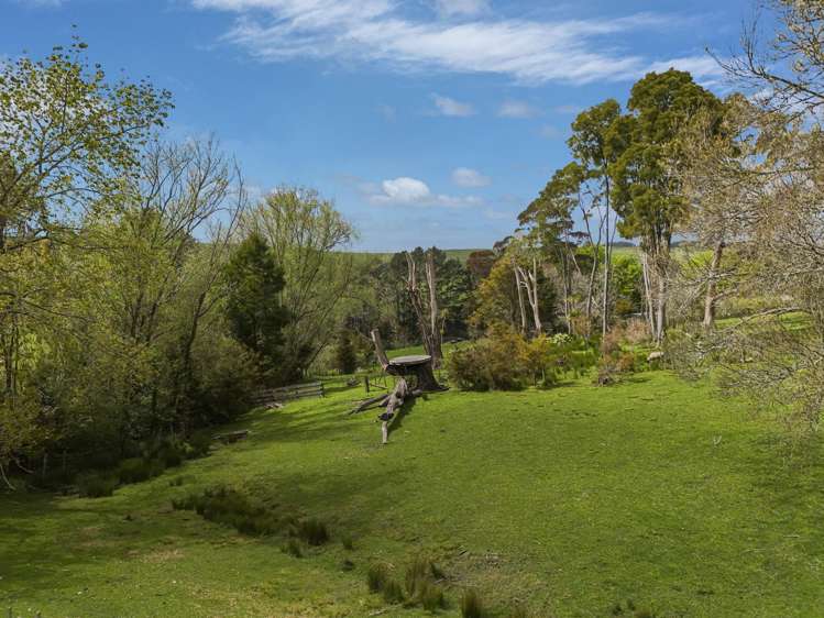 1187 Peak Road Helensville_22